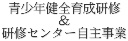 青少年健全育成研修 　　　　 ＆ 研修センター自主事業